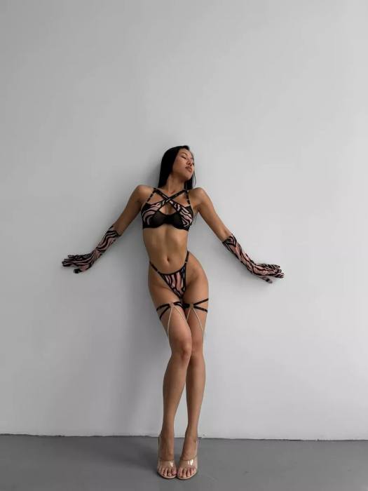 Fiora Secret Pink Zebra Jartiyerli Full Takım